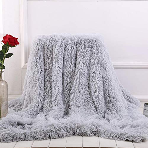 QEWRT Super Soft Long Faux Fur Coral Fleece Blanket Warm Elegant Cozy with Fluffy Throw Blanket Bed Sofa Blankets Gift
