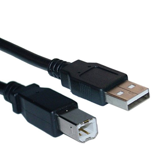 REY Cable USB de Impresora, Escáner, Disco Duro, USB Tipo B de 25 cm