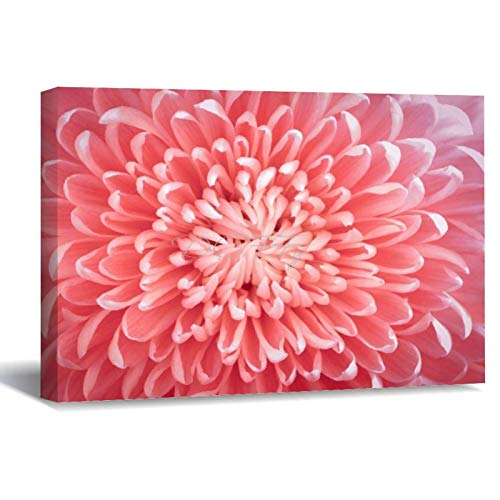 Scott397House Painting Framed Artwork, Pink Chrysanthemum Floral Flower Canvas Wall Art Printed Ready to Hang Wall Decor for Living Room 40X50