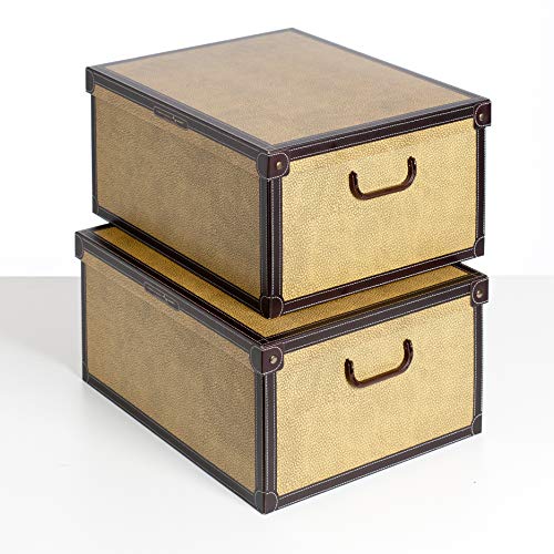 SET DE DOS Cajas de almacenamiento en cartón, tamaño grande, 2 unidades, modelo TAPIR SET DE DOS Cajas de almacenamiento en cartón, tamaño grande, 2 unidades, modelo TAPIR