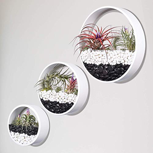 3 macetas para colgar en pared, redondas de metal macetas para montar en la pared para plantas suculentas,flores,cactus,plantas falsas contenedor de pie interiores para decoración de pared,blanco