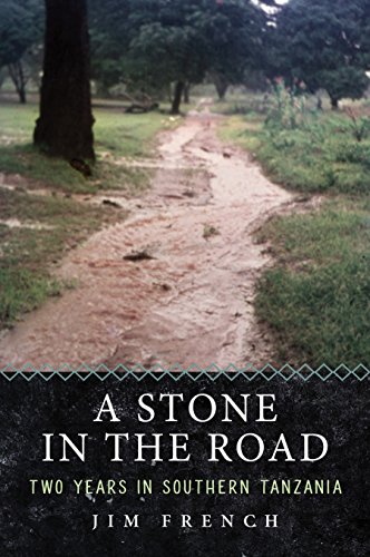 A Stone in the Road: Two Years in Southern Tanzania (English Edition)