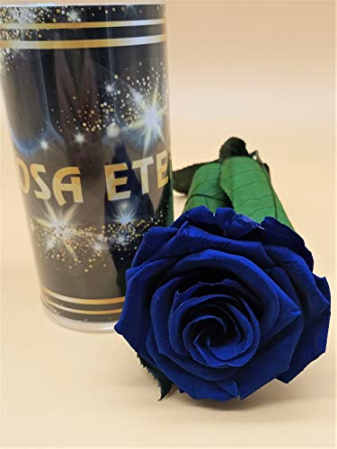 Almaflor Rosa eterna Azul Extra. Gratis TU ENVÍO Prime. Rosa preservada Azul Extra. Rosa preservada Azul Extra. Hecho en España.