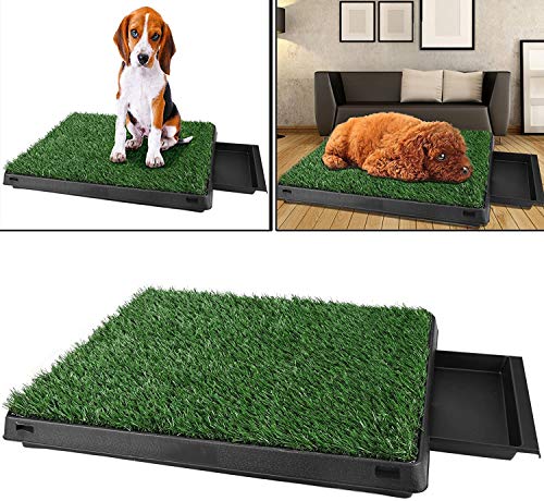 Befied Inodoro para perros con césped artificial, base de entrenamiento para interior para perros y animales, 63 x 50 x 7 cm (largo x ancho x alto) Befied Inodoro para perros con césped artificial, base de entrenamiento para interior para perros y animales, 63 x 50 x 7 cm (largo x ancho x alto)