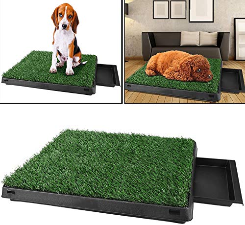 Befied Inodoro para perros con césped artificial, base de entrenamiento para interior para perros y animales, 63 x 50 x 7 cm (largo x ancho x alto)