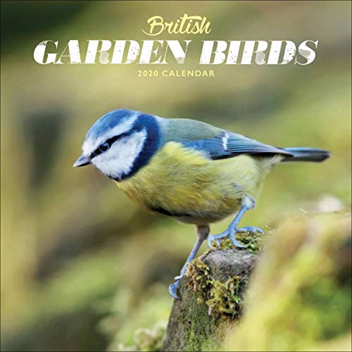 British Garden Birds Mini Square Wall Calendar 2020