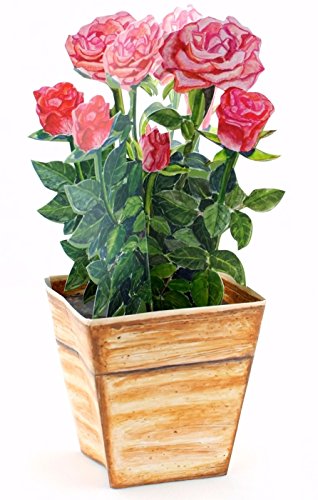 'desplegable de papel, diseño "ROSE", dimensiones Color 3 A d-card, diseño de rosas en un jarrón de flores, Si può facilmente en cualquier mesa, diseños tarjeta de cumpleaños o San Valentín