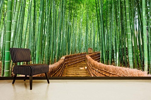 Fotomural Vinilo Pared Bosque Bambú | Fotomural para Paredes | Mural | Vinilo Decorativo | Varias Medidas 150 x 100 cm | Decoración comedores, Salones, Habitaciones.
