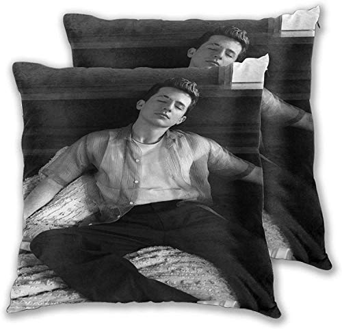 Jingliwang Charlie Puth Antistatic Throw Pillow Cases Set of 2 for Home Sofa Bedroom House Party Indoor Pillow Covers Classic Bedding