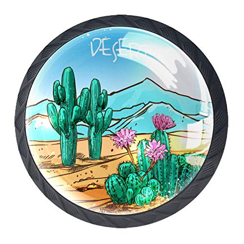 Juego de 4 pomos redondos de cristal para cajones de 30 mm, diseño de plantas de cactus del desierto