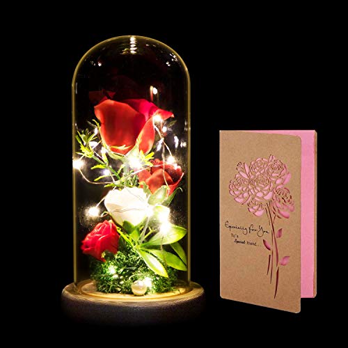 La Bella y La Bestia Rosa, ANSUG Rosa Encantada y Luces LED en la Cúpula de Cristal con Base Pino Rosa Artificial para Día de San Valentín Aniversario Bodas