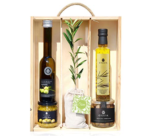 Lote Gourmet Regalo Sabores con árbol olivo natural pequeño, aceite de oliva virgen extra, crema para untar, aceite condimentado y aceitunas