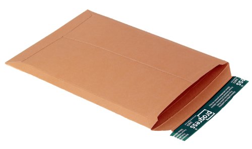 Progreso paquete de correo PP V04.04 tablero macizo, A4, 237 x 342 x 30 mm, 25-pack, marrón