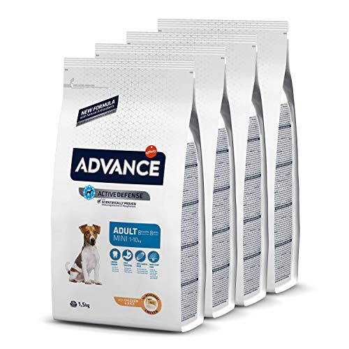 ADVANCE Mini Adult - Pienso Para Perros Adultos De Razas Pequeñas - Pack De 1,5Kg x 4 - Total 6kg ADVANCE Mini Adult - Pienso Para Perros Adultos De Razas Pequeñas - Pack De 1,5Kg x 4 - Total 6kg