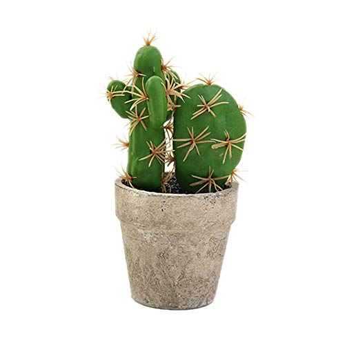 Apofly Artificial Cactus Succulent, Plant Mini Simulación En Maceta Suculento De Cubierta Decoración Desktop Planta Falsa Realista para El Hogar Estilo De La Oficina B