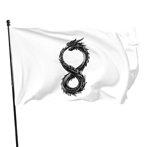 Bandera de Ouroboros con dragón de carbono N/ Altered, 3 x 5 pies
