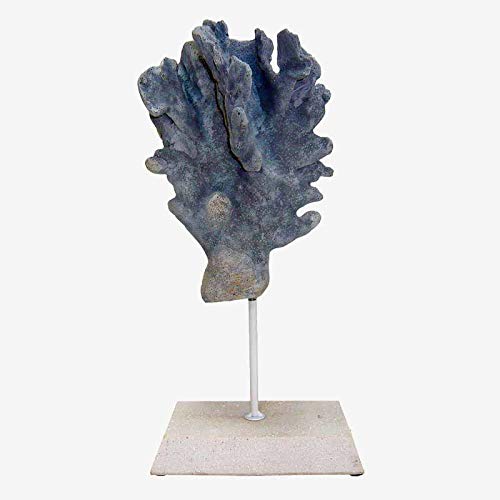 Better & Best 2501090 Figura alta resina coral azul con peana blanca de resina, color: azul