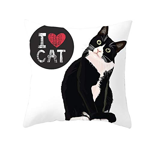 Fundas de Cojines Gato negro Funda de Almohada Cuadrado Terciopelo Suave con Cremallera Invisible para Sofá Cama Coche Dormitorio Decor para Hogar Throw Pillow Case Regalo Pillowcase,35x35cm R2852