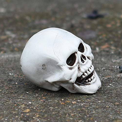 GHFT Estatua De Calabazahorror Skull Halloween Props Bar Secret Room Casa Embrujada Thriller Adornos De Cabeza De Momia