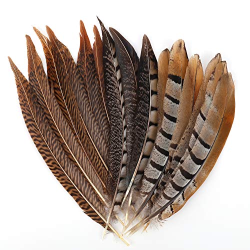 MWOOT plumas de cola de faisán naturales 15pcs 20-30cm decoración para manualidades, boda, fiestas de cumpleaños