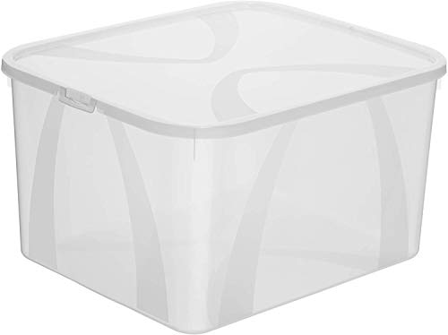 Rotho Arco, Caja de almacenamiento de 25l con tapa, Plástico PP sin BPA, transparente, 25l 42.0 x 35.1 x 23.0 cm