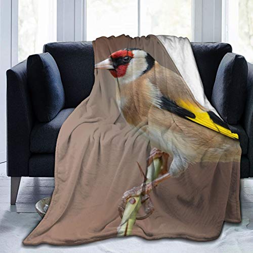 Affordable shop Manta de forro polar de 127 x 152 cm, diseño de pájaros de rama, jilguero de oro, para el hogar, de franela, suave, cálida, para cama/sofá/oficina/camping