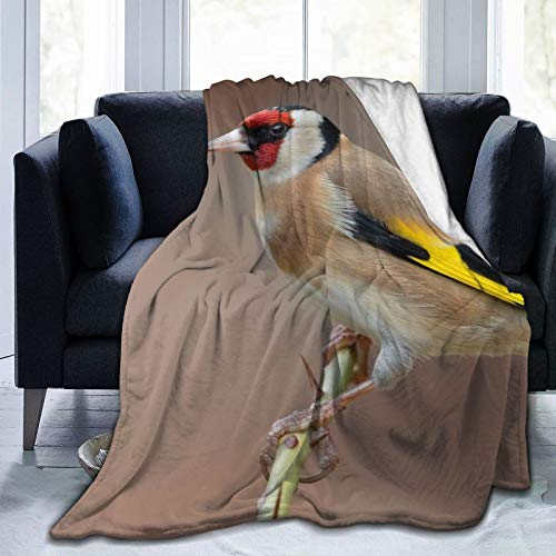 Affordable shop Manta de forro polar de 127 x 152 cm, diseño de pájaros de rama, jilguero de oro, para el hogar, de franela, suave, cálida, para cama/sofá/oficina/camping Affordable shop Manta de forro polar de 127 x 152 cm, diseño de pájaros de rama, jilguero de oro, para el hogar, de franela, suave, cálida, para cama/sofá/oficina/camping