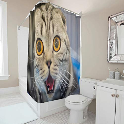 DAMKELLY Store Cortina de ducha impermeable con diseño de gato enfadado, estilo moderno, cortina de baño con ganchos, decoración para ducha de baño, color blanco, 120 x 180 cm