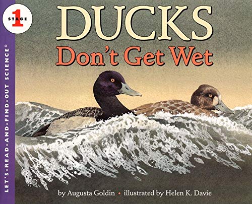 Ducks don't get Wet (Lrfo)