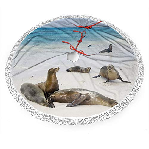 FULIYA Christmas Tree Skirt Galapagos Island Sea Lions at Sandy Beach Seascape Nature Photo Animal Travel，Christmas New Year Party Holiday Home Decorations 36inch