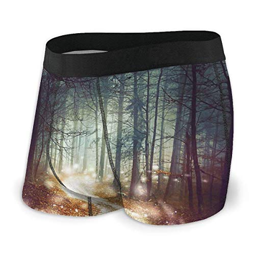 LREFON Calzoncillos Tipo bóxer para niños, Ropa Interior de Bosque de Colores mágicos, bañadores, cómodo Rendimiento de Entrenamiento, Bragas de Bikini de Secado rápido