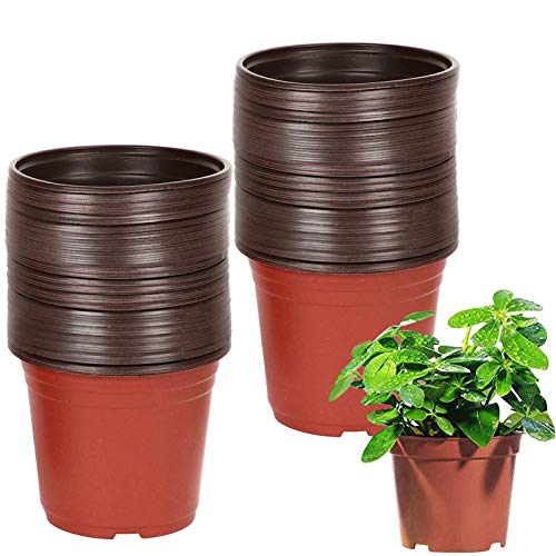 Macetas de Plastico, Plantas Macetas de plántulas, Macetas Redondas de Plástico, Reutilizables Macetas, Plástico Planta Macetas - Plantas de Guardería Macetas (A) Macetas de Plastico, Plantas Macetas de plántulas, Macetas Redondas de Plástico, Reutilizables Macetas, Plástico Planta Macetas - Plantas de Guardería Macetas (A)