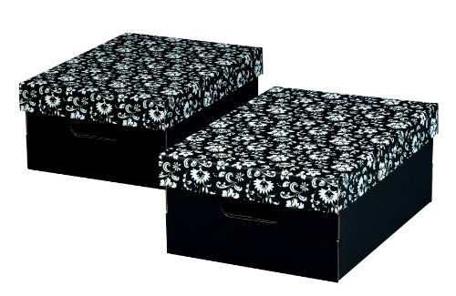 Nips Eco Line Silva - Pack de 2 cajas multiuso, tamaño A4, 27 x 36 x 15 cm, color blanco y negro