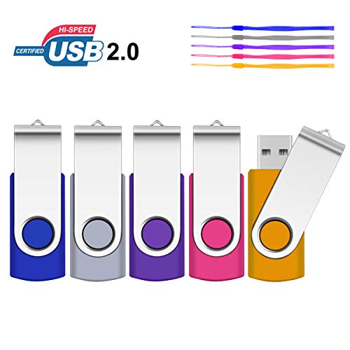 PenDrives 64GB 5 Piezas USB Flsh Drives , SRVR Portátil Memorias USB 2.0 de Memoria Dispositivos Externos con Indicador LED ，Contiene 5 cordón,(Azul,Gris,Púrpura,Rosa,Naranja)