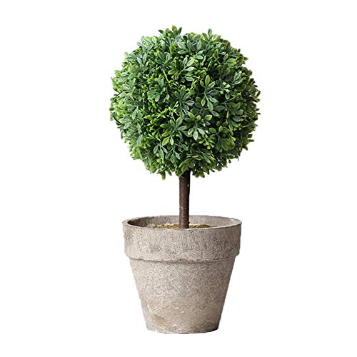 Apofly Planta En Maceta Hierba Artificial De Interior Plantas Bonsai Esféricos Mini Falso Bola De La Hierba del Ministerio del Interior De Escritorio Decoratioin 13x13x26cm Apofly Planta En Maceta Hierba Artificial De Interior Plantas Bonsai Esféricos Mini Falso Bola De La Hierba del Ministerio del Interior De Escritorio Decoratioin 13x13x26cm
