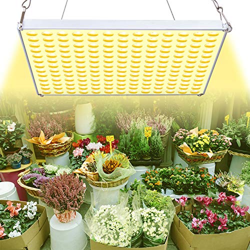 Lámpara para plantas Yasbed 75 W, espectro completo, luz de crecimiento para plantas de interior, luz para plantas de 3500 K parecida al sol, para semillas, que crece, florece y lleva frutas,
