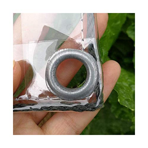 Lona Transparente – Lona De PVC Impermeable De Plástico con Ojales, Cubierta De Hojas para Plantas De Flores, Resistente A La Lluvia, 400 G/m2 (Size : 2x5m)