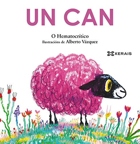 Un can: Os Hematiños (INFANTIL E XUVENIL - MERLÍN E-book) (Galician Edition)