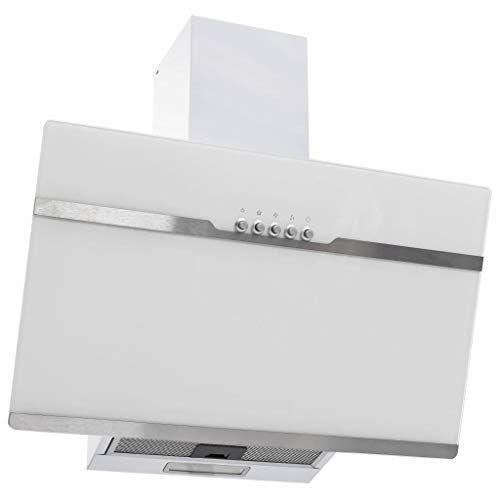 vidaXL Campana extractora acero inoxidable vidrio templado blanco 60cm vidaXL Campana extractora acero inoxidable vidrio templado blanco 60cm
