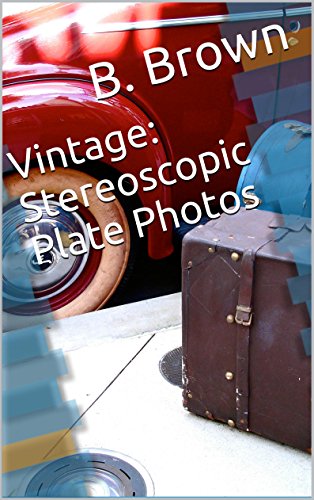 Vintage: Stereoscopic Plate Photos (Vintage Postcards Book 2) (English Edition)