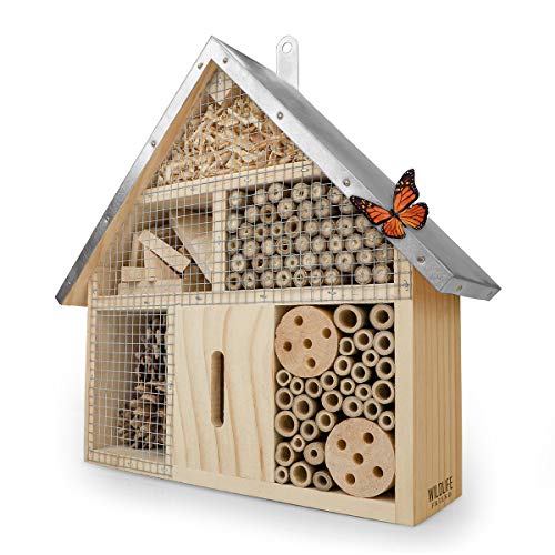 Wildlife Friend | Zinc Roof Bug Hotel - Casa de escarabajos de Madera Natural para Abejas, Mariquitas, Moscas y Mariposas Superiores