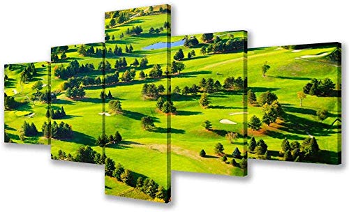 5 piezas de pintura en lienzo, impresión, decoración de sala de deportes, vista aérea, imagen del campo de golf, bosque verde, pintura para la casa, campo de golf, ilustraciones, múltiples panele