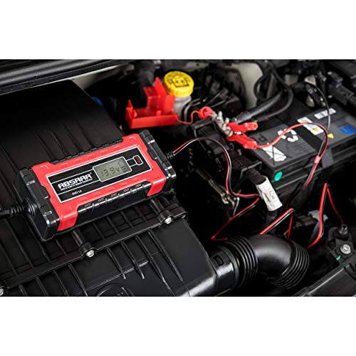 Absaar 158000 batería Cargador EVO, 1 A, 6/12 V, Rojo/Negro