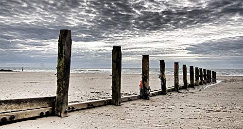 ESTRILLADO-LONEA-Post-Fila-at-Beach-Adrian-Z-Coastal-Fine-Art-impresión-enmarcado-on-madera-bars-cm_15x28_in
