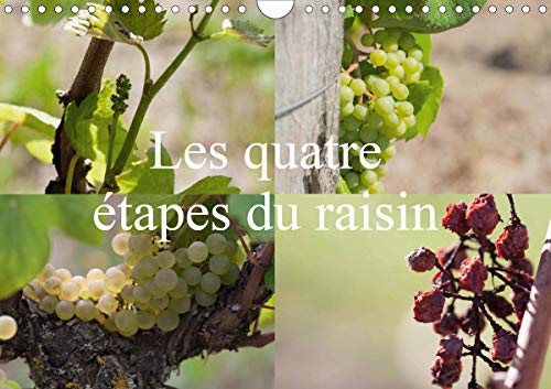 Les quatre etapes du raisin (calendrier mural 2020 din a4 horizontal) - le raisin, le nectar des die (Calvendo Nature): Le raisin, le nectar des Dieux