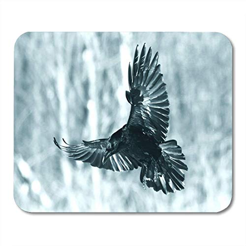 Alfombrillas de ratón Bird Flying Black Raven Corvus Corax in Winter Time Looking for Something to Eat Halloween Mouse pad Mats 9.5" x 7.9" for Notebooks,Desktop Computers Accessories Office Supplies