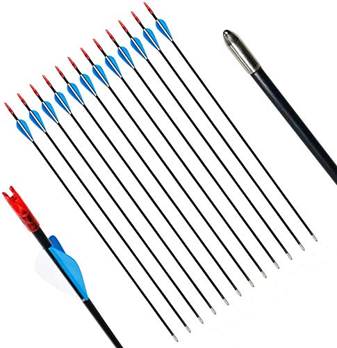 29 Pulgadas Flechas de Fibra de Vidrio para práctica de Tiro con Arco o Flechas para jóvenes para Arco recurvo (12 Piezas)