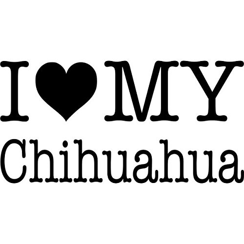 COCHE I Love My Chihuahua, 10 x 5 cm, varios coloures dorado Talla:10x5cm