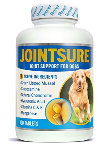 JOINTSURE condroprotector Perros| 300 Comprimidos | con mejillón de Labio Verde, glucosamina y condroitina Natural. | Este antiinflamatorio para Perros.