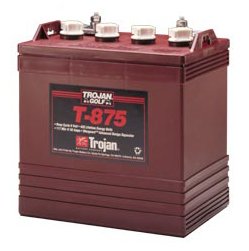 2 x Trojan T875 Bateria para maquinaria - 8V - 170Ah
